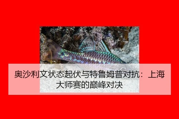 奥沙利文状态起伏与特鲁姆普对抗：上海大师赛的巅峰对决