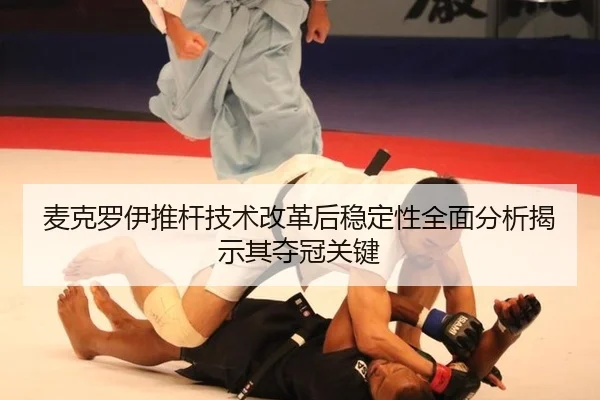 mai-ke-luo-yi-tui-gan-ji-shu-gai-ge-hou-wen-ding-xing-quan-mian-fen-xi-jie-shi-qi-duo-guan-guan-jian-3-843.jpg